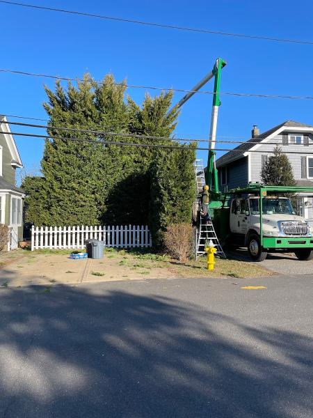 Anderson's Tree Service Inc.