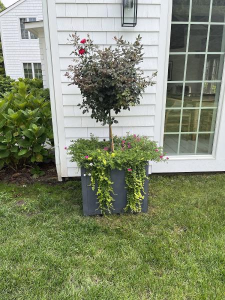 Long Summers Landscaping Inc