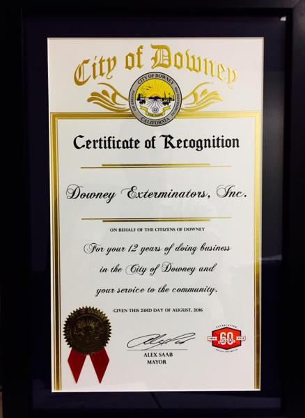 Downey Exterminators
