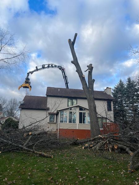Jeff's Tree Removal LLC