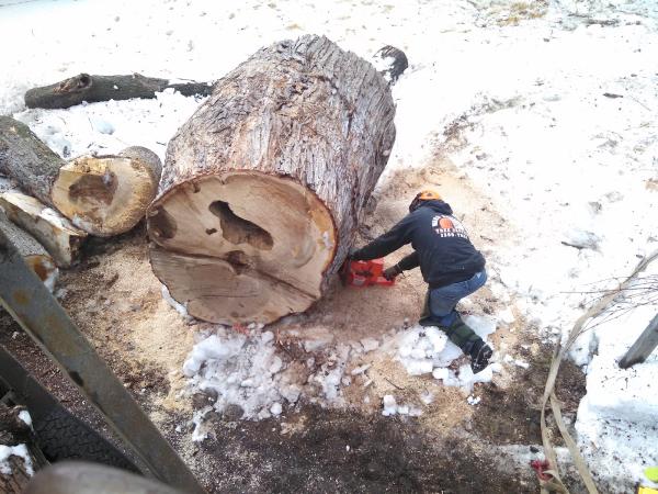 Ward Brothers Tree & Crane Services