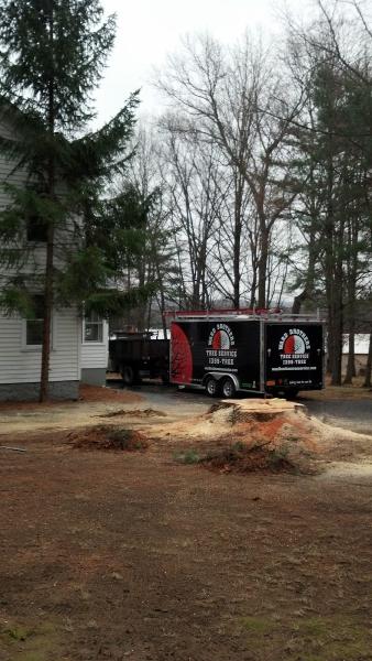 Ward Brothers Tree & Crane Services