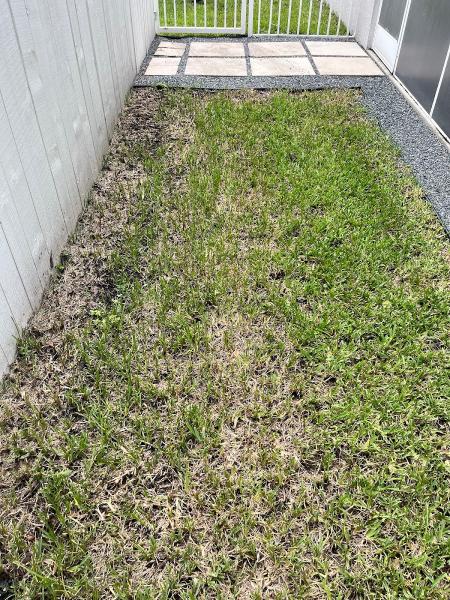 County Tree and Property Renovation