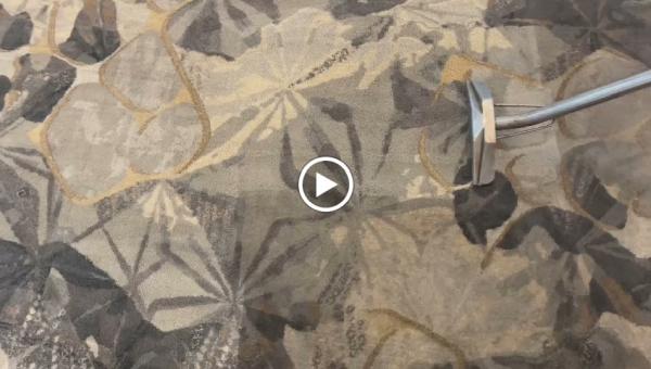 Biosteam Carpet Care
