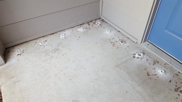 Prime Termite Solutions