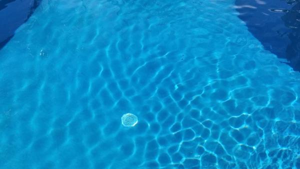 Reef Tropical Pools