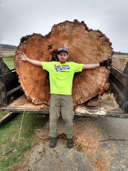 Triple DDD Tree Service