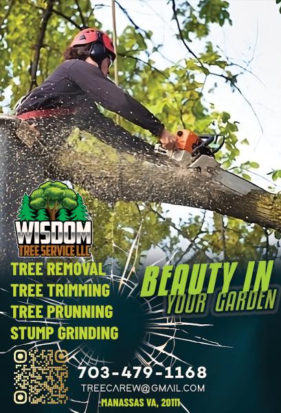 Wisdom Tree Service LLC