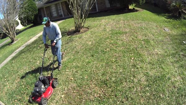 Weed Whacker Lawn Care