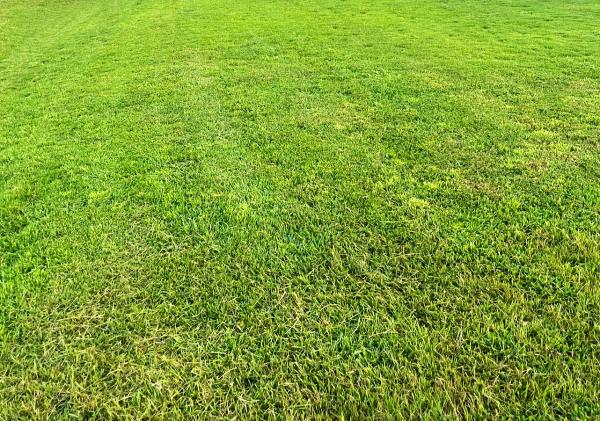 Arizaga Lawn Care Services LLC