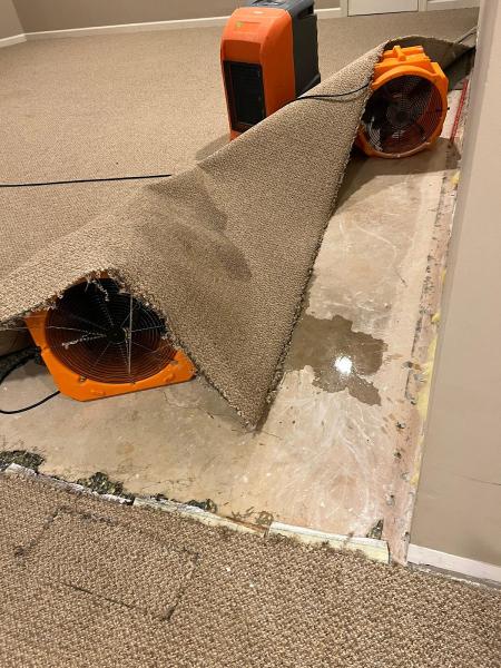Water Damage DMV