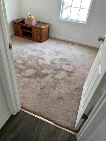 Spot on Carpet Cleaning
