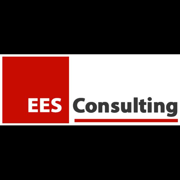 EES Consulting