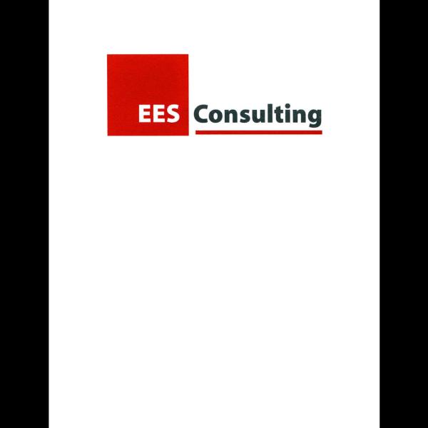 EES Consulting