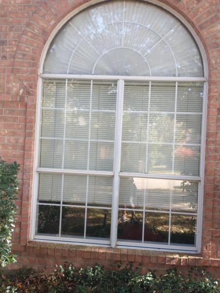 Alliance Window Cleaning