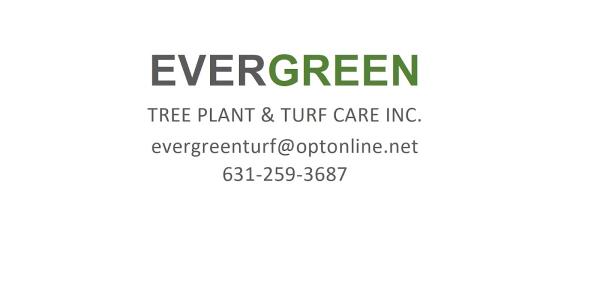 Evergreen Tree Plant & Turf Care