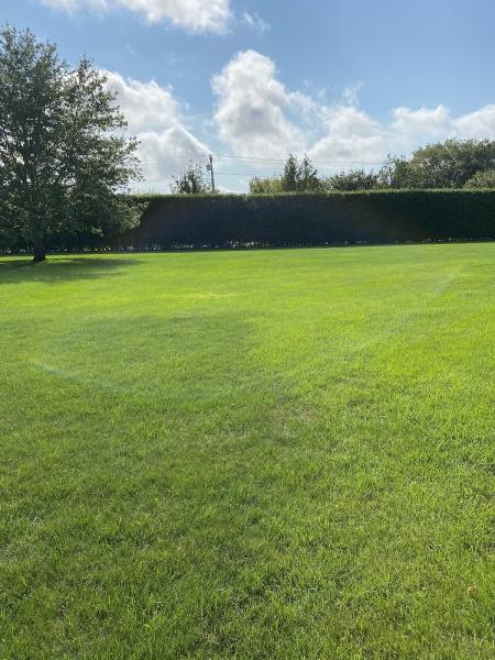 Evergreen Tree Plant & Turf Care