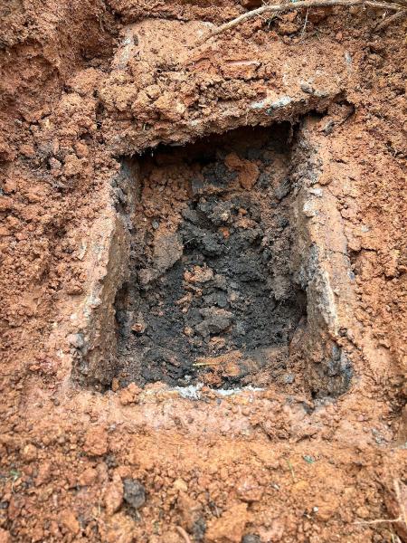 Brown Trout Septic LLC