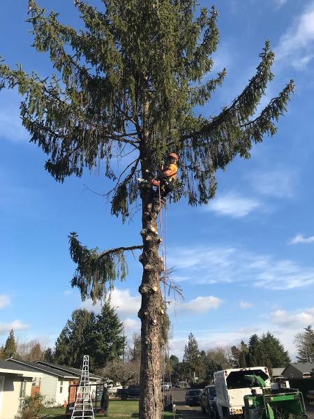 TRG Tree Service