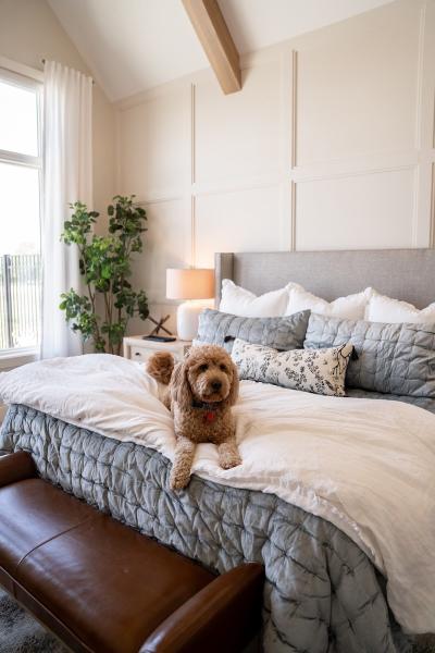 Fluff Interior Design