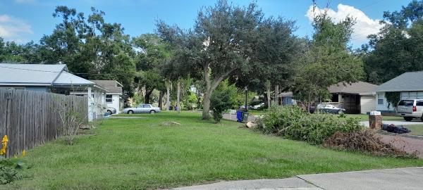Clearcut Tree Service