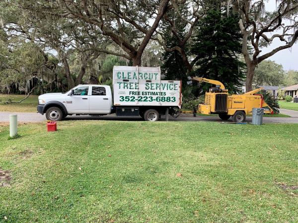 Clearcut Tree Service