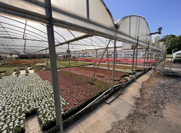 Complete Grounds Commercial Landscaping