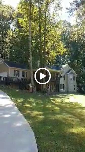 Rays Affordable Tree Service