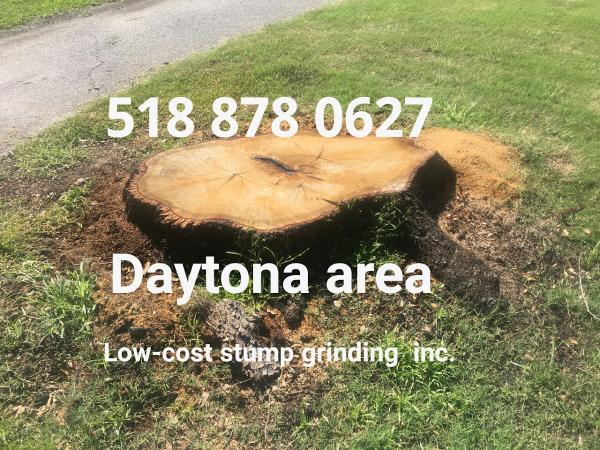 Low-Cost Stump Grinding Inc.