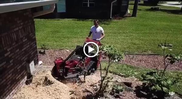 Low-Cost Stump Grinding Inc.
