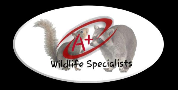 A+ Wildlife Specialists