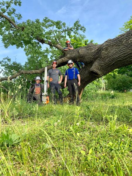 K&H Tree Service