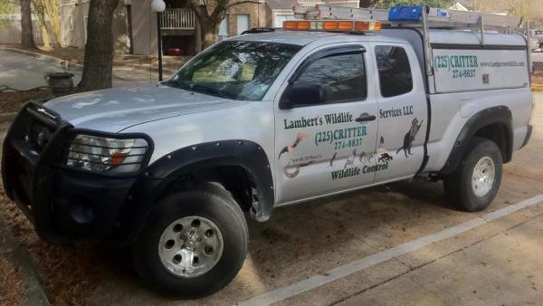 Lambert's Wildlife Services