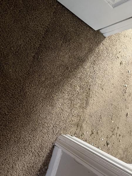 Garry Gray Carpet Repairs & Stretching