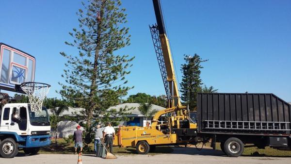 ABC Tree Service