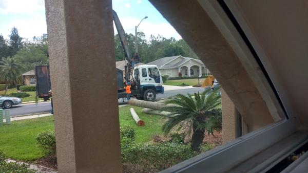 ABC Tree Service