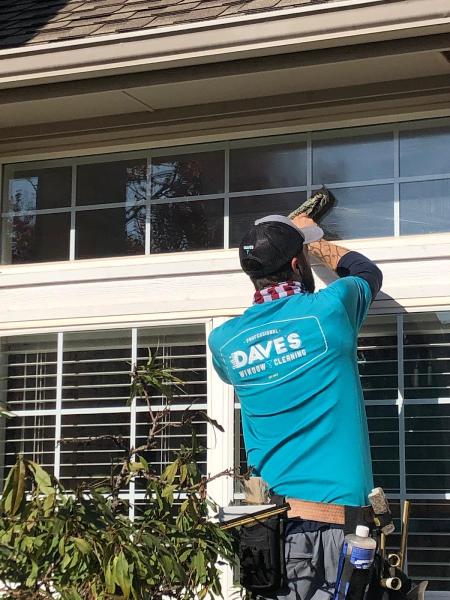 Dave's Window Cleaning