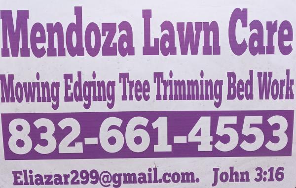 Mendoza Lawn Care & Handyman Service