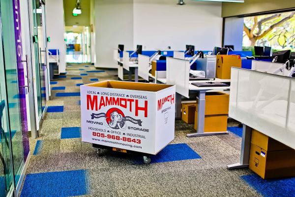 Mammoth Moving & Storage