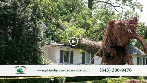 Planet Green Tree Service