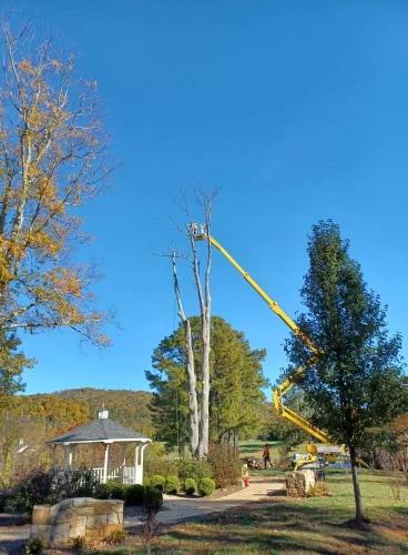 Wyant Tree Service and Landscaping