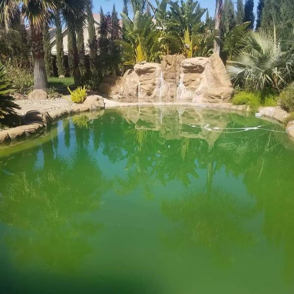 Wrigley's Pool co.