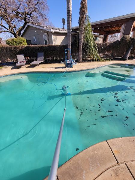 Wrigley's Pool co.
