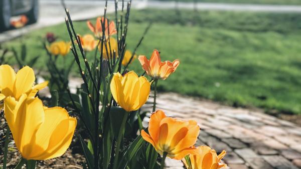 Sun Valley Landscaping