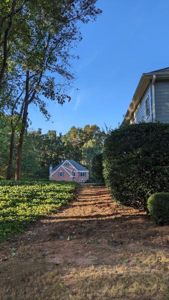 Tree Pruning Specialist