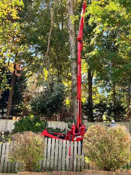 Triad Tree Removal LLC