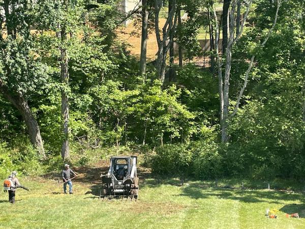 Triad Tree Removal LLC