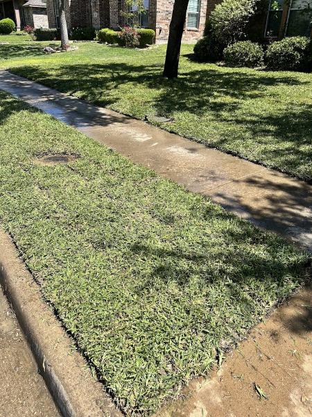 Texas Sod & Drainage Pros