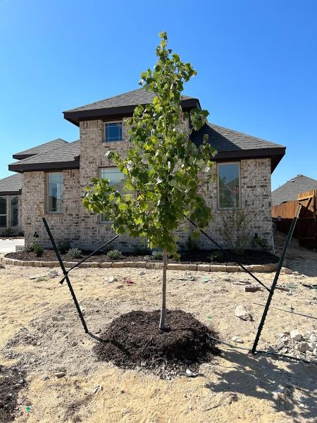 Texas Sod & Drainage Pros