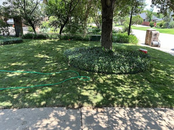 Texas Sod & Drainage Pros
